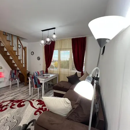 Apartment Zizi's House Garii